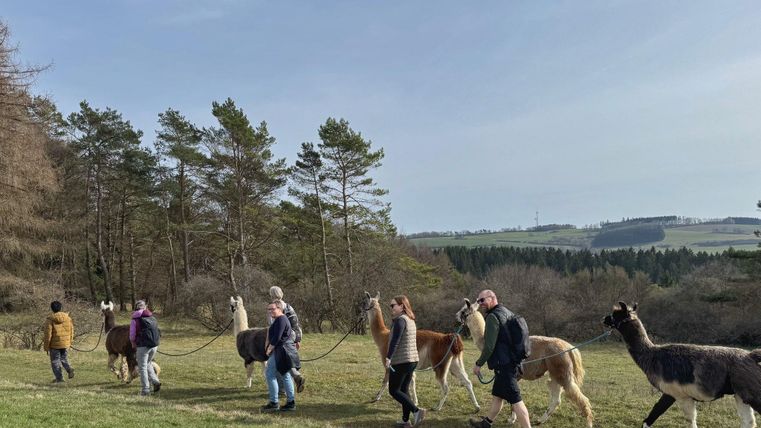 Eine Gruppe von Menschen geht mit Lamas durch eine bewaldete Landschaft. Die Umgebung ist grün und die Stimmung ist friedlich.