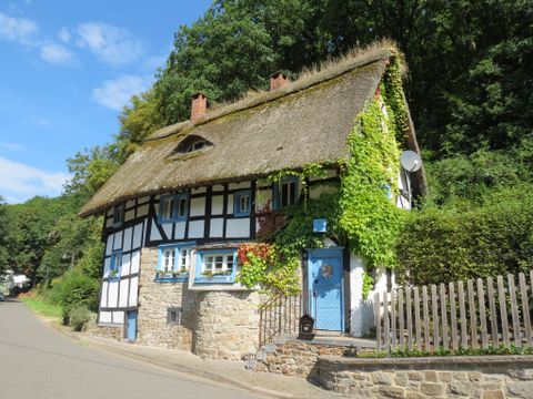Fachwerkhaus mit Reetdach und Efeubewuchs in ländlicher Umgebung.