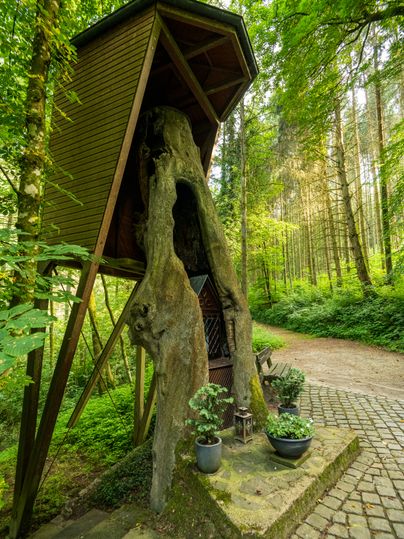 kleine Kapelle in einem Baumstamm im Wald