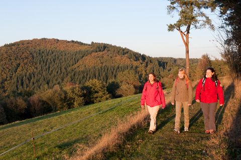 Drei Frauen wandern auf einem Pfad durch eine herbstliche Landschaft mit bewaldeten Hügeln im Hintergrund.