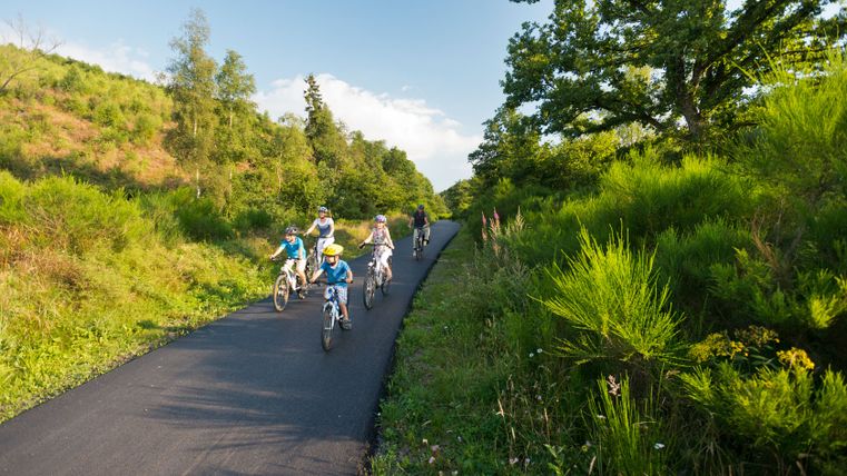Une famille circule à vélo sur une piste cyclable asphaltée à travers un paysage verdoyant.