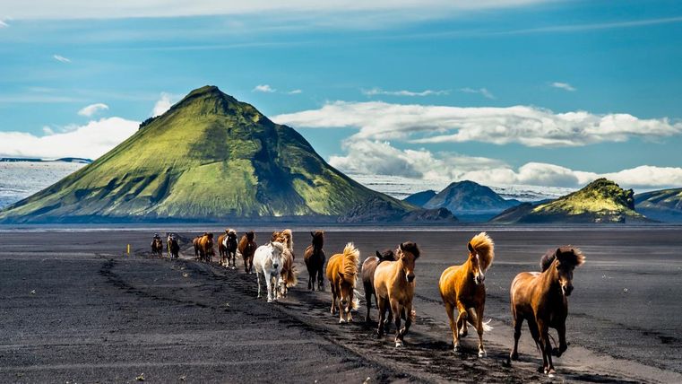 Eine beeindruckende Wüstenlandschaft mit roten Felsen und monumentalen Tafelbergen. Der klare Himmel ergänzt die rustikale Schönheit der Umgebung.