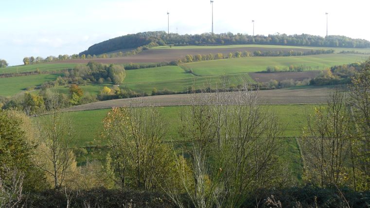 Landschap met groene velden en windturbines op een heuvel.