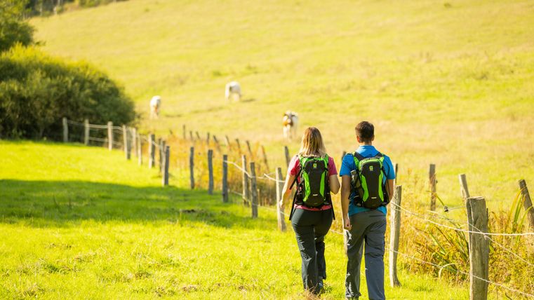 Two hikers with rucksacks walk along a fence on a dirt track, with cows grazing in a meadow in the background.