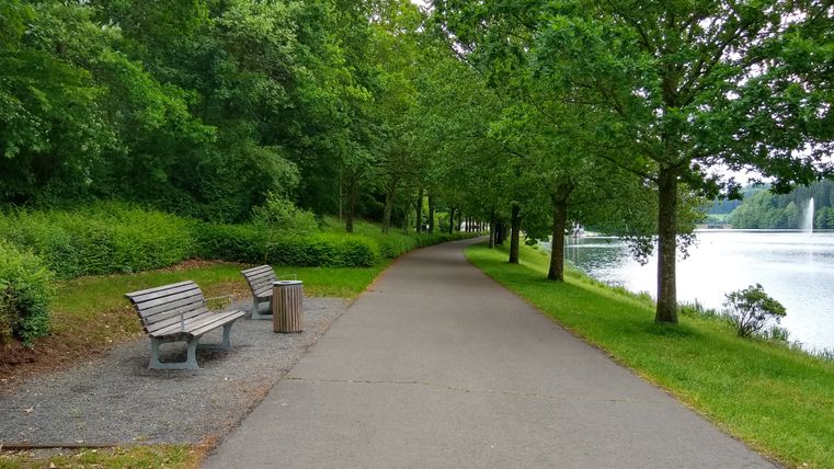 Paysage de parc calme avec des bancs au bord du lac de barrage de Bitburg.