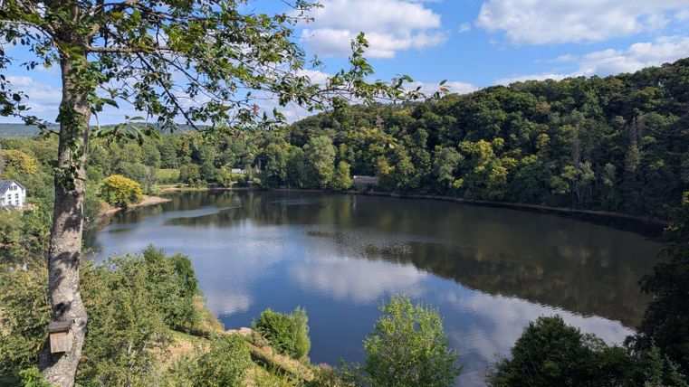 Ein ruhiger See umgeben von grünen Wäldern und sanften Hügeln.
