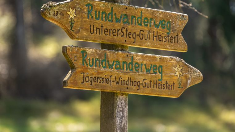 Holzwegweiser im Wald mit zwei Pfeilen zum Rundwanderweg: oben „Unterer Steg – Gut Heistert“, unten „Jägersief – Windhag – Gut Heistert“. Im Hintergrund verschwommener Wald in warmem Licht.