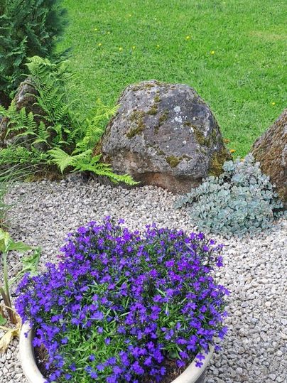 A beautiful flower pot with purple flowers stands on gravel. In the background, there is green grass and some stones.