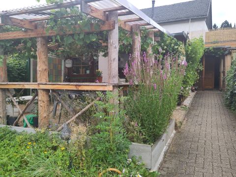 Een gezellige tuin met een houten gebouw, omringd door planten. Een geplaveid pad leidt naar de ingang van het huis.