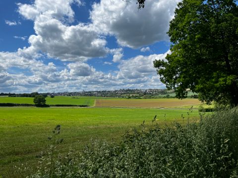Landscape with green fields, trees and a cloudy sky.