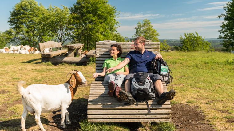 Twee mensen ontspannen op een houten ligstoel op het platteland terwijl een geit naast hen staat. Op de achtergrond zijn bomen en andere geiten te zien.