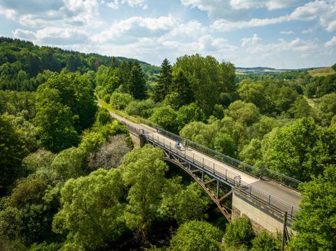 Forest landscape with a cycle path in the middle, which leads over a bridge above the trees.