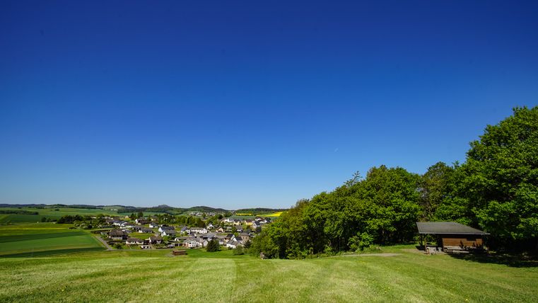 Wiese Wald und blauer Himmel an der Schutzhütte