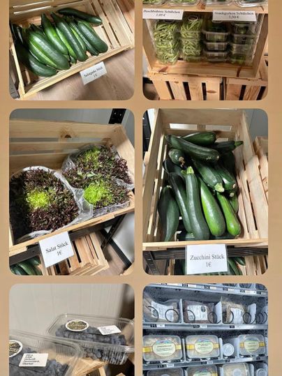Ein Korb mit frischen Zucchini und verschiedenen Kräutern liegt auf einem Holztisch. Daneben sind weiteren Gemüse- und Kräuterbehälter sichtbar.