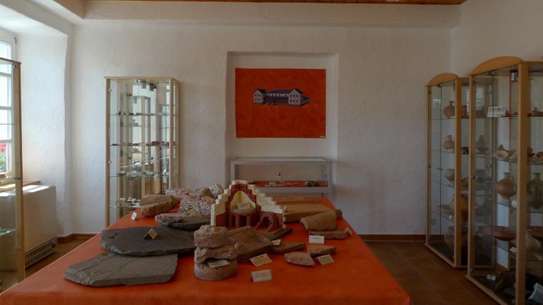 A bright room with displayed fossils and minerals in showcases. The table in the center is covered with various rocks.