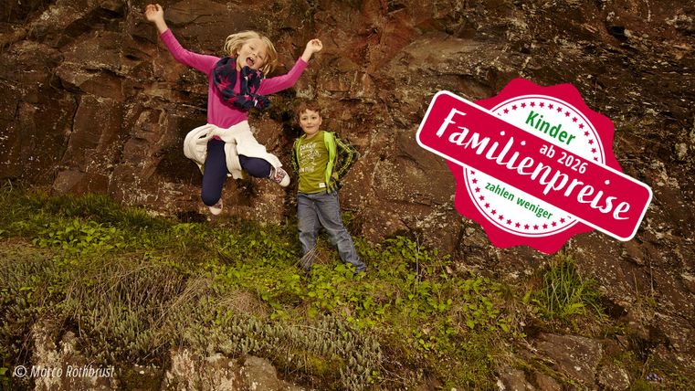 Deux enfants s'amusent dans la nature. La fille saute joyeusement à côté du garçon sur une pelouse verte.