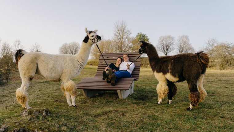 Eine Person sitzt entspannt auf einer Liege und hält zwei Lamas an der Leine. Im Hintergrund sind Bäume und eine offene Wiese zu sehen.