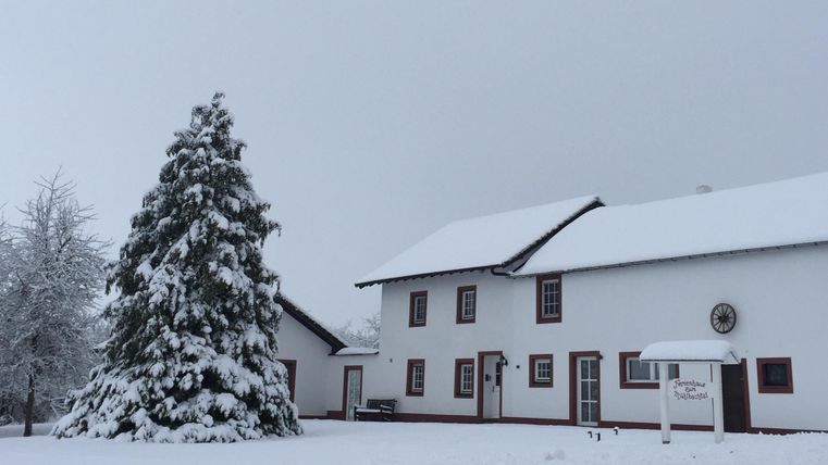 Een mooi huis in de sneeuw met een grote, groene boom. De lucht is grijs en het landschap is winters.