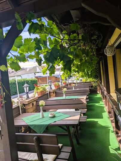 Ein einladender Außenbereich eines Restaurants mit Tischen und Stühlen unter einem Weinlaub. Der Raum ist mit Grün und blühenden Pflanzen dekoriert und vermittelt eine gemütliche Atmosphäre.