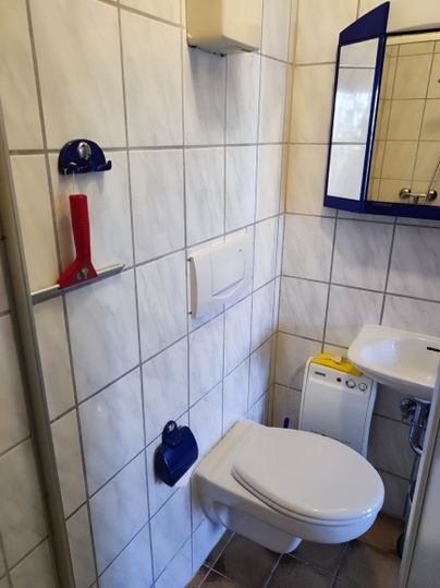 A small bathroom with white tiles. It is equipped with a toilet, a sink, and a mirror.