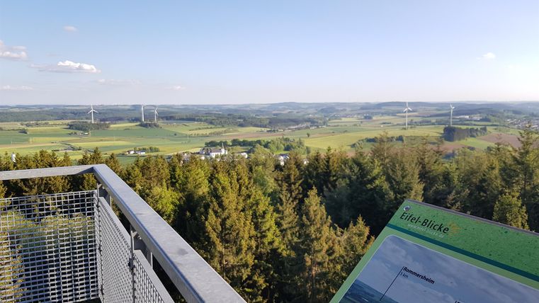 Eine Aussicht von einem Aussichtsturm auf eine weitläufige grüne Landschaft. Im Vordergrund ist ein Informationsschild zu sehen.