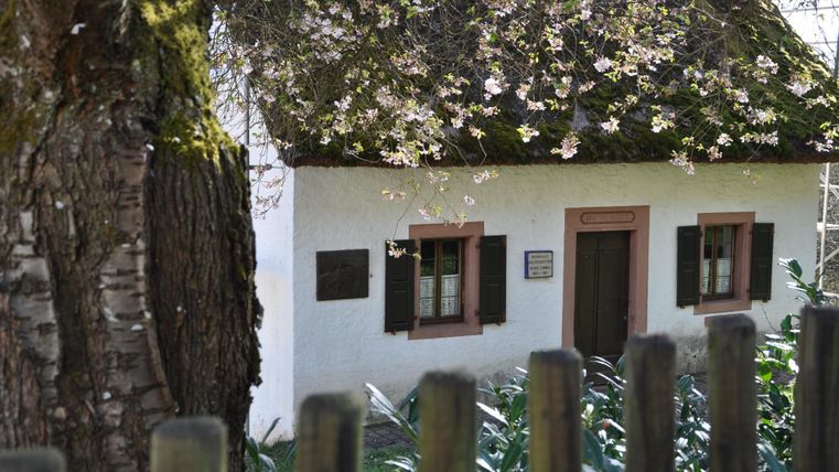 Ein traditionelles Haus mit Reetdach, umgeben von blühendem Baum und grünen Pflanzen. Die Fenster sind mit schwarzen Läden dekoriert.