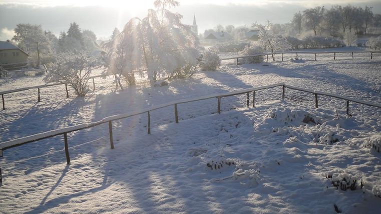 A snowy landscape with trees and a fence. The sun is shining behind the trees, creating a winter atmosphere.