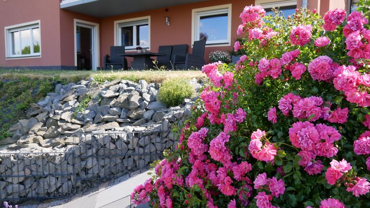 Een mooie tuin met roze rozenbloesems en een stenen helling. Op de achtergrond is een modern gebouw met een zithoek te zien.