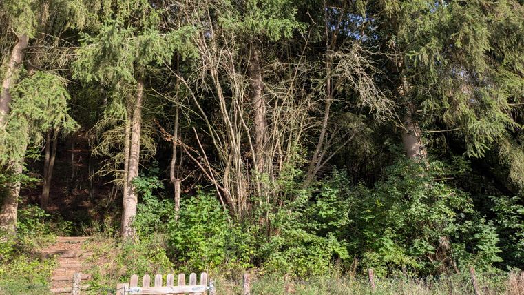 Ausgang zum Wald