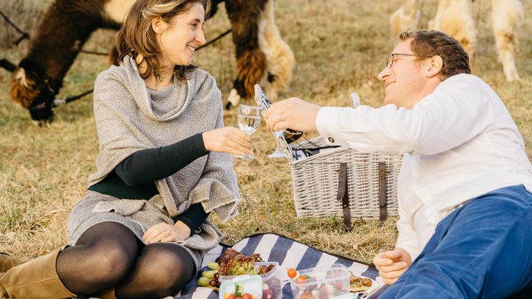 Ein Picknick im Freien mit einem Paar, das anstoßt. Im Hintergrund sind ein Korb und mehrere Leckereien auf einer Decke zu sehen.