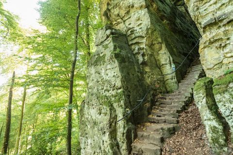 Stone steps in a wooded ravine with moss-covered rocks.