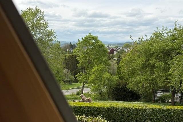 Eine idyllische Landschaft mit grünen Bäumen und einem ruhigen Ausblick auf die Umgebung. Der Himmel ist bewölkt und es scheint, als ob es bald regnen könnte.