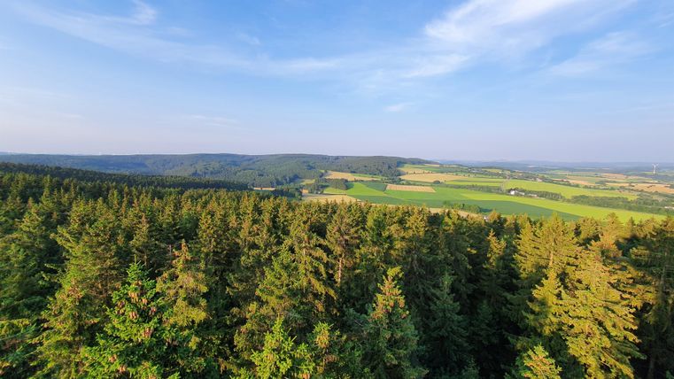 Eine weite Landschaft mit grünen Wäldern und Feldern unter einem klaren blauen Himmel. Der Ausblick zeigt die natürliche Schönheit der Umgebung.