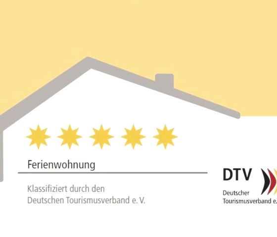 Stars logo 2