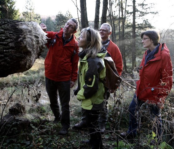 Finding beaver tracks, © Rureifel-Tourismus e.V._Giesen