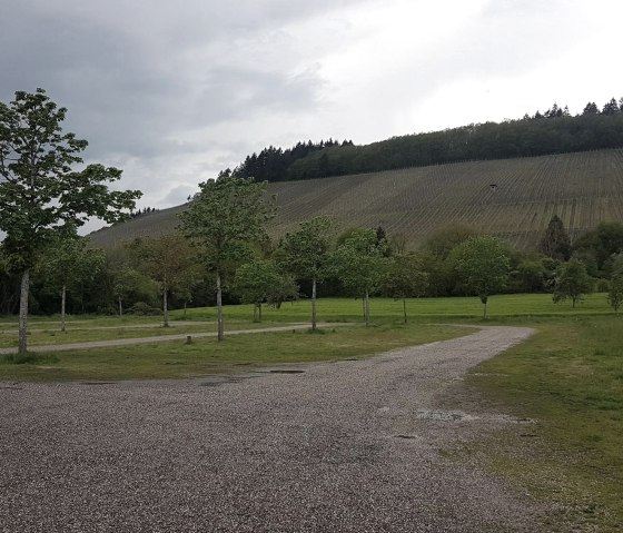 Vue sur les vignobles depuis l'aire de camping-car, © Tourist-Information Wittlich Stadt & Land