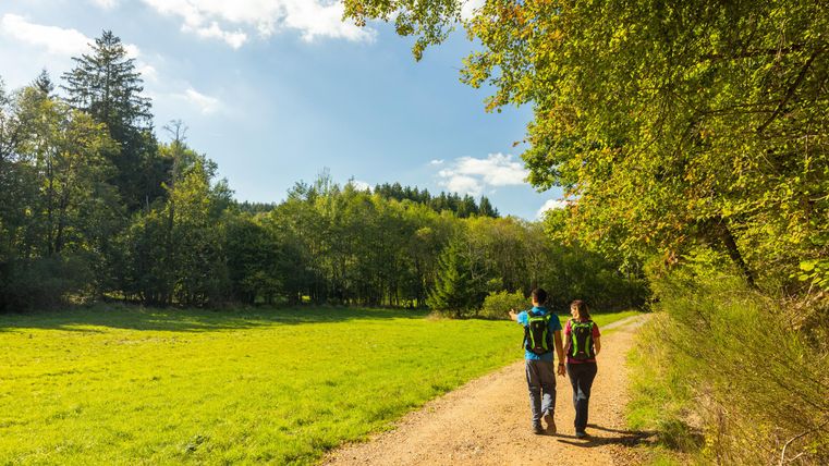 Zwei Personen wandern auf einem Kiesweg durch eine grüne Landschaft. Umgeben von Bäumen und unter einem klaren Himmel genießen sie die Natur.