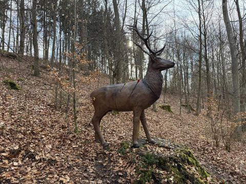 Eine Hand hält einen traditionellen Holzbogen. Im Hintergrund sind weitere Bögen sichtbar.