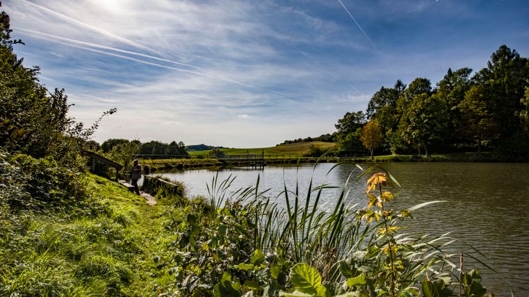 Le lac de barrage de Gerolstein s'étend devant nous, entouré de forêts et de prairies. Le ciel est bleu et le soleil brille à travers quelques nuages.