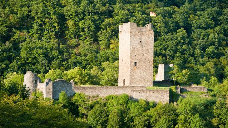 Bovenste kasteel van de Manderscheid kastelen omgeven door bos.