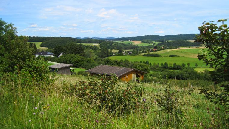 Landschaft mit Wiesen, Bäumen und einem Haus auf einem Hügel.