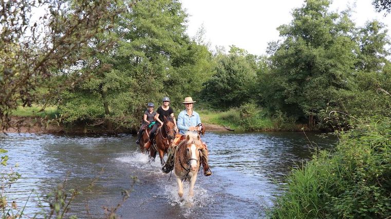Drei Reiter überqueren einen flachen Bach. Sie reiten durch eine grüne, naturnahe Landschaft.
