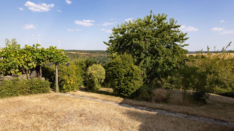 A dry landscape with some trees and bushes. In the background, wind turbines and a clear sky can be seen.