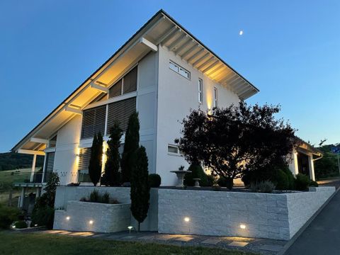 A modern house with an elegant facade and outdoor lighting. The garden is well-maintained and decorated with trees and shrubs.