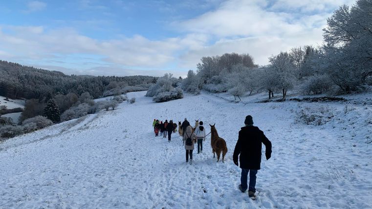 Eine Gruppe von Menschen wandert durch eine verschneite Landschaft. Die Umgebung ist ruhig und winterlich, mit Schnee bedeckten Feldern und Bäumen.