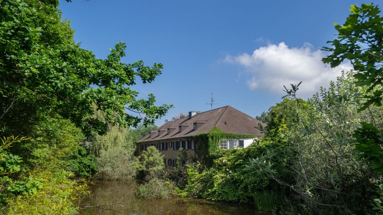 An old building overgrown with ivy, surrounded by trees and a pond, under a blue sky.