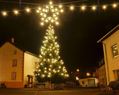 Un sapin de Noël décoré de manière festive avec des lumières brillantes se dresse dans une nuit calme. En arrière-plan, on aperçoit des bâtiments qui complètent l'atmosphère festive.