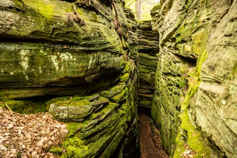 Schmale, moosbedeckte Felsenschlucht mit Laub am Boden.