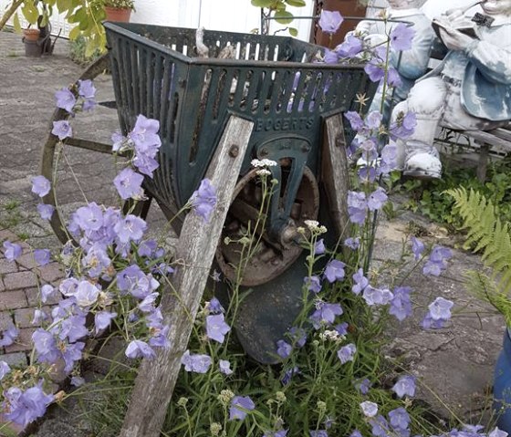 Front garden