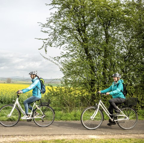 Le colza en fleurs accompagne les cyclistes sur la piste cyclable du Maifeld, © Eifel Tourismus GmbH, Dominik Ketz